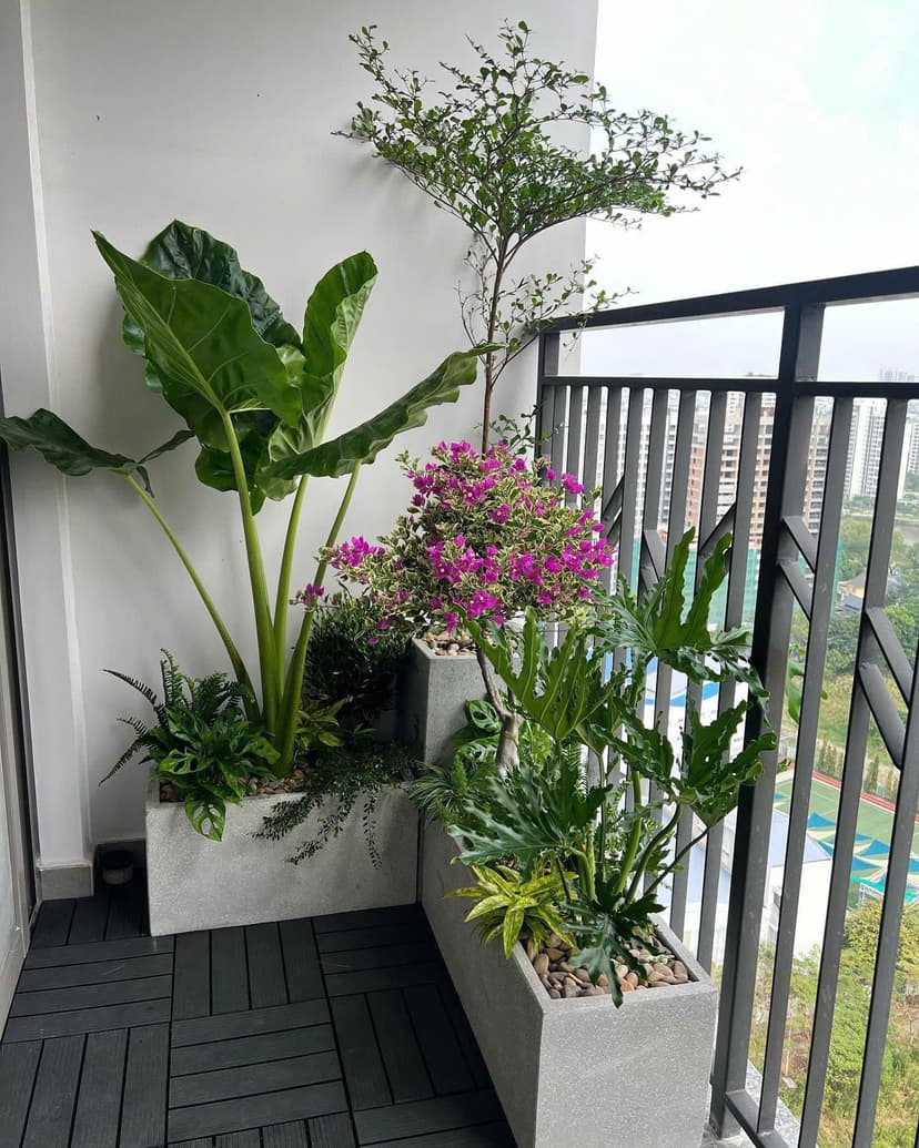Cây Nào Thanh Lọc Không Khí, Hấp Thụ CO2 Hiệu Quả?