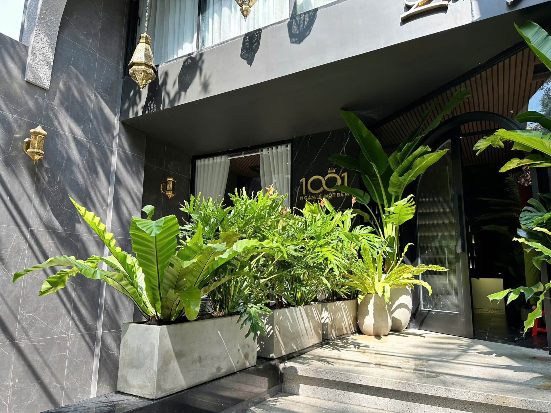 Cách chọn cây cảnh phù hợp cho biệt tự, nhà phố, chung cư